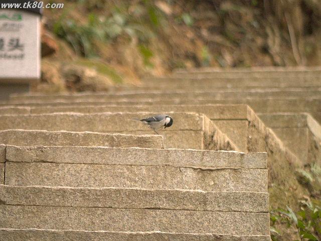 ãã¡ã€ã« 794-1.jpg