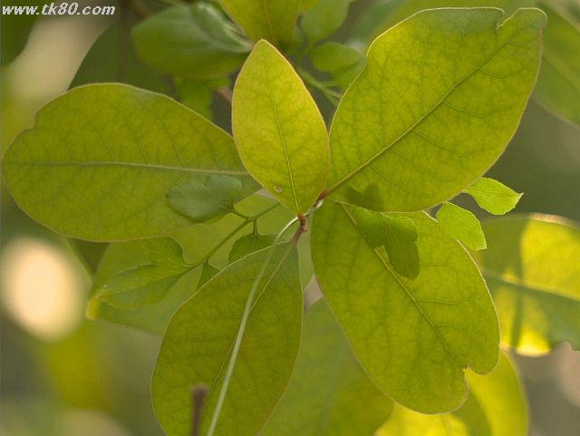 ãã¡ã€ã« 811-3.jpg