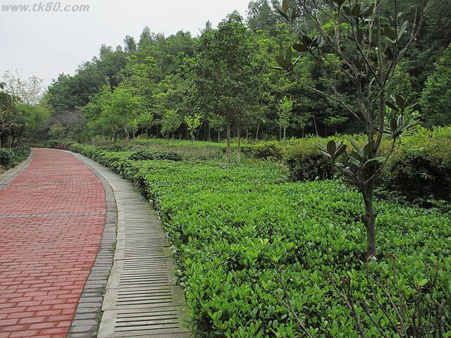 ãã¡ã€ã« 813-3.jpg