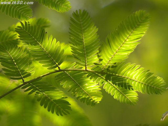 ãã¡ã€ã« 814-1.jpg