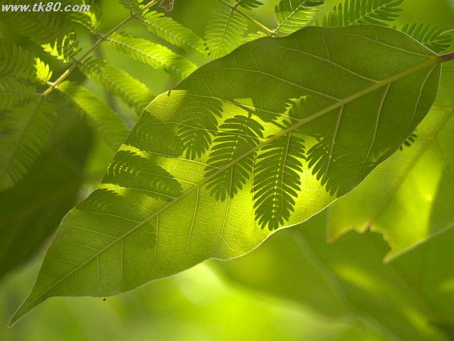 ãã¡ã€ã« 814-2.jpg