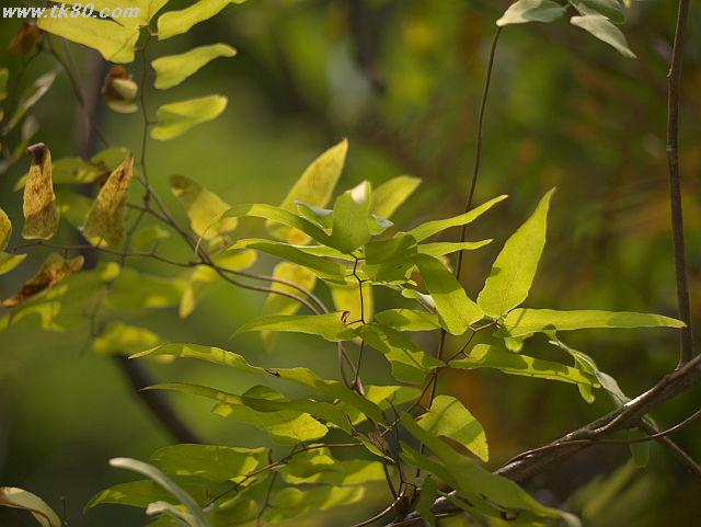 ãã¡ã€ã« 814-3.jpg