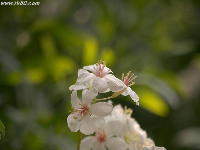 ãã¡ã€ã« 815-3.jpg