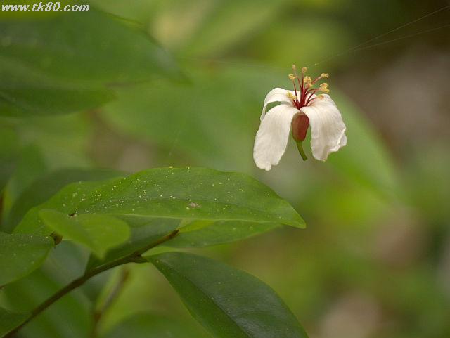 ãã¡ã€ã« 816-1.jpg