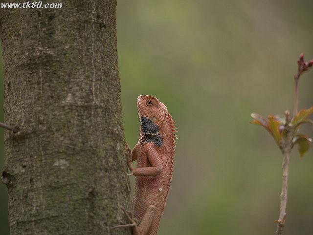 ãã¡ã€ã« 816-3.jpg