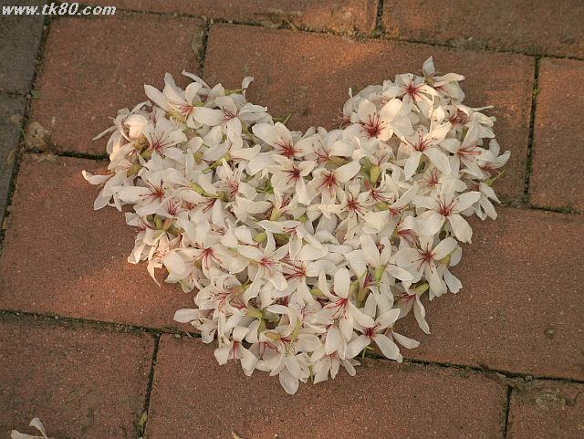 ãã¡ã€ã« 816-5.jpg