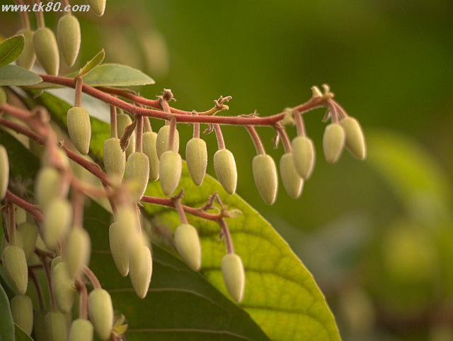 ãã¡ã€ã« 817-3.jpg