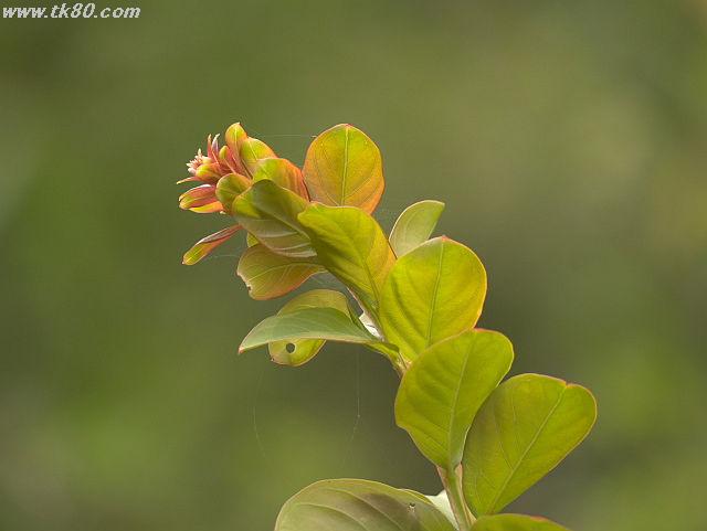 ãã¡ã€ã« 819-1.jpg