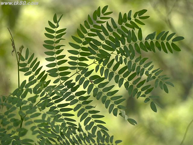 ãã¡ã€ã« 819-3.jpg