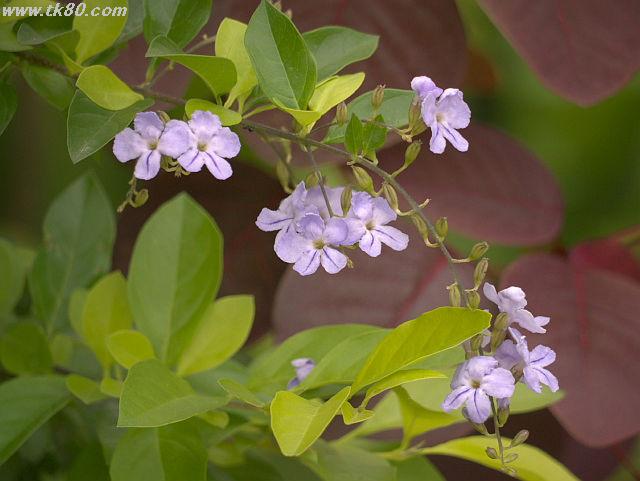 ãã¡ã€ã« 819-5.jpg