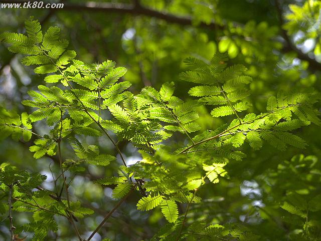 ファイル 821-1.jpg