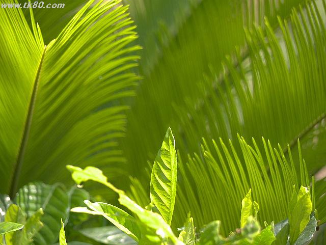 ファイル 821-3.jpg