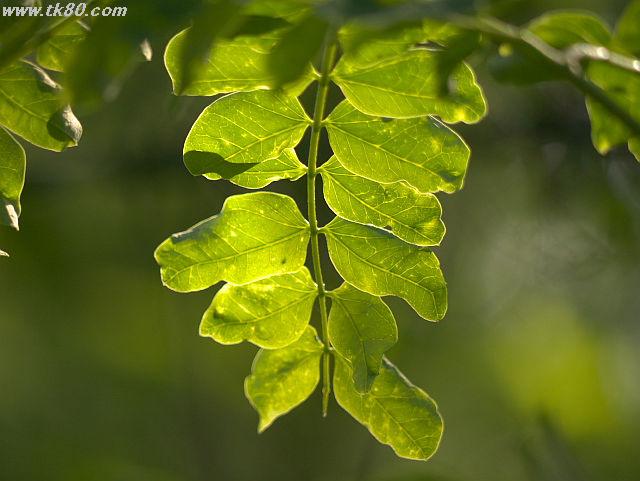 ファイル 821-5.jpg