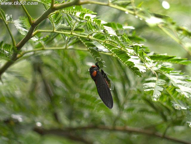 ファイル 823-1.jpg