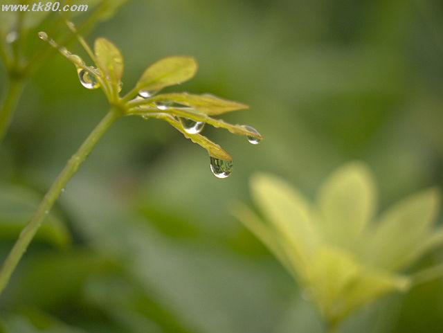 ファイル 823-3.jpg