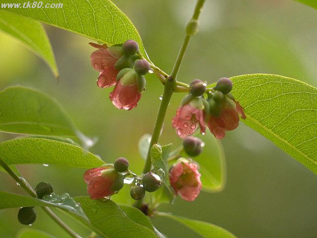 ファイル 823-4.jpg