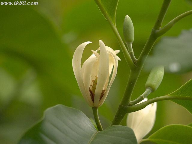 ファイル 824-1.jpg