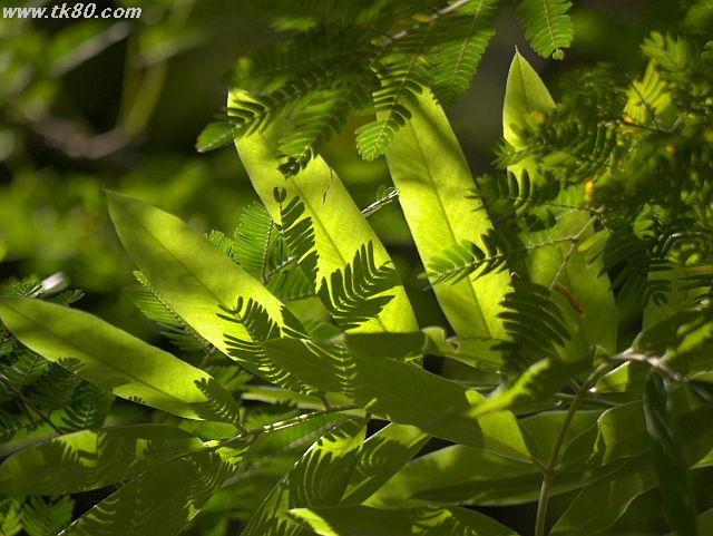 ファイル 826-1.jpg