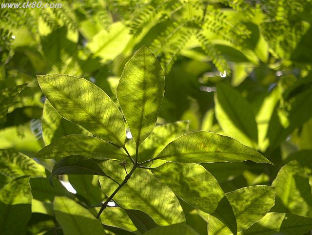 ファイル 826-5.jpg