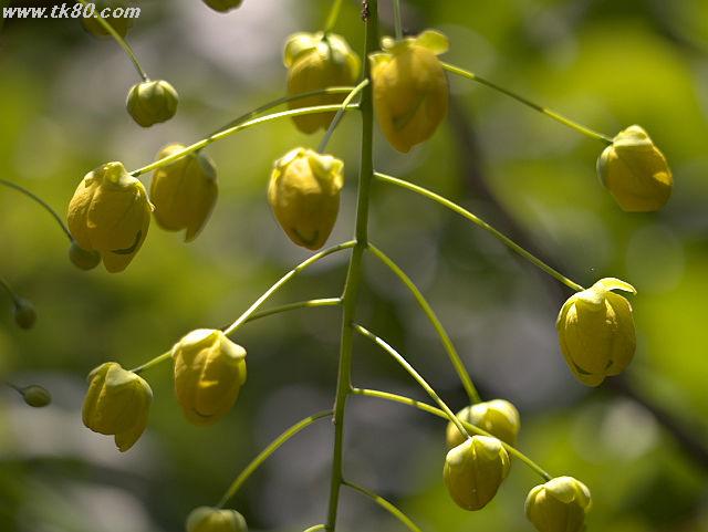 ãã¡ã€ã« 828-3.jpg