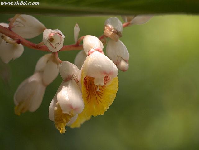 ãã¡ã€ã« 828-4.jpg