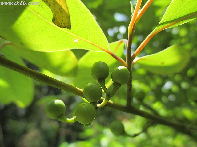 ãã¡ã€ã« 829-2.jpg