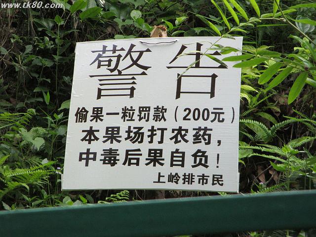 ãã¡ã€ã« 829-4.jpg