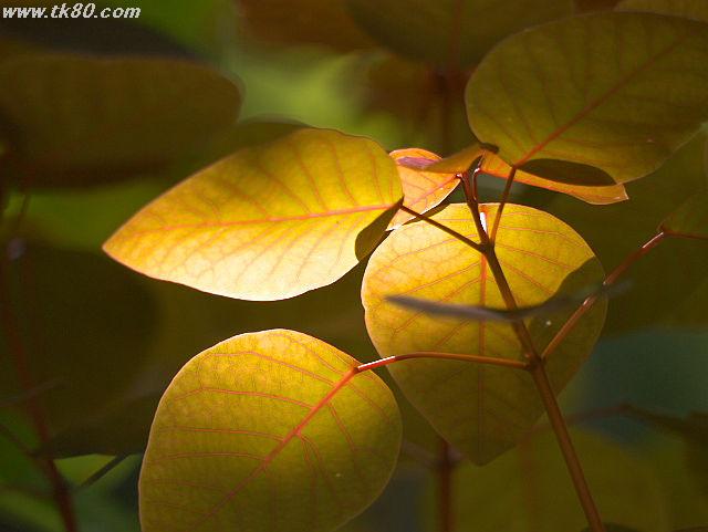 ãã¡ã€ã« 833-4.jpg