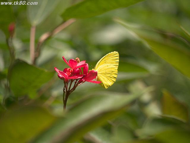 ファイル 834-1.jpg