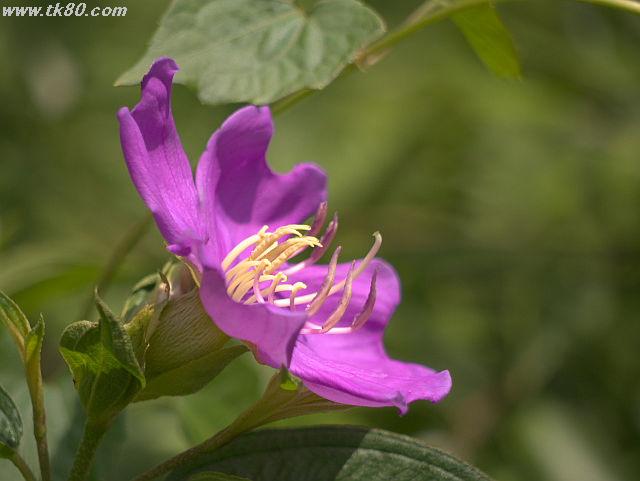 ファイル 834-2.jpg