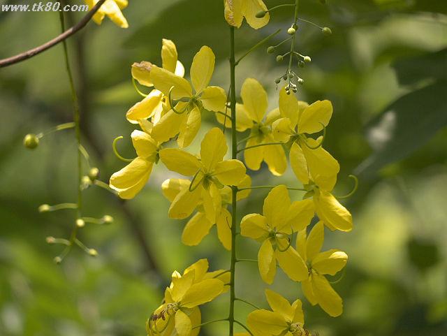 ファイル 834-3.jpg