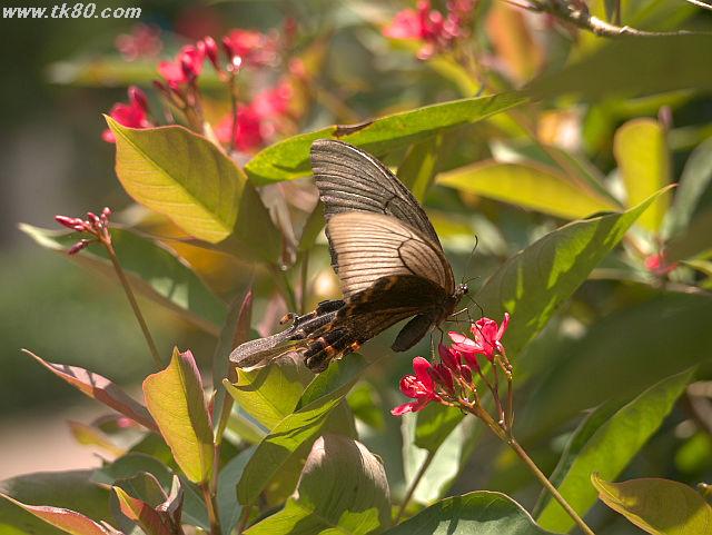 ファイル 834-4.jpg