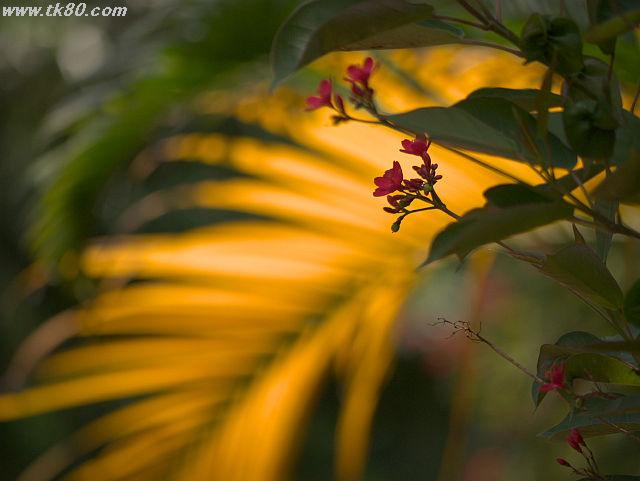 ファイル 834-5.jpg