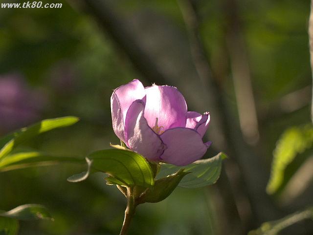 ファイル 835-1.jpg