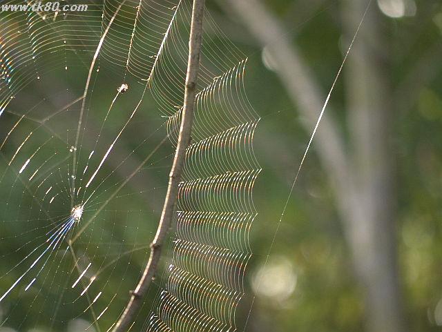 ファイル 835-3.jpg