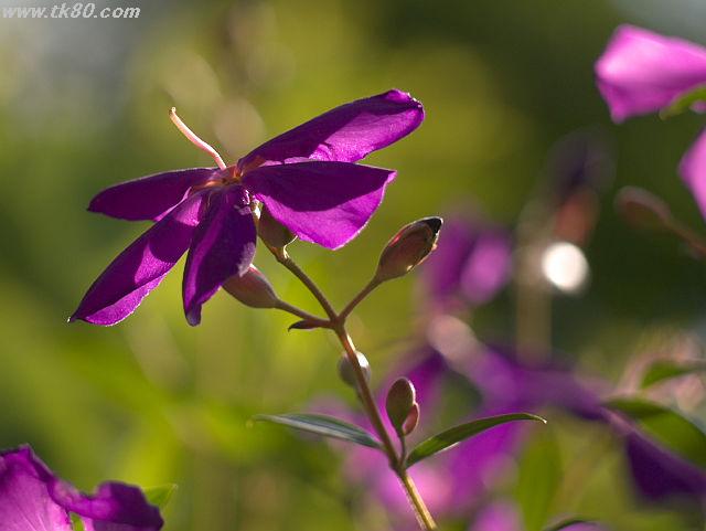 久々、光明の高鉄駅から約20キロ歩いた