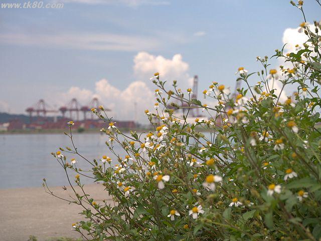 下手な鉄砲、数打ちゃ当る