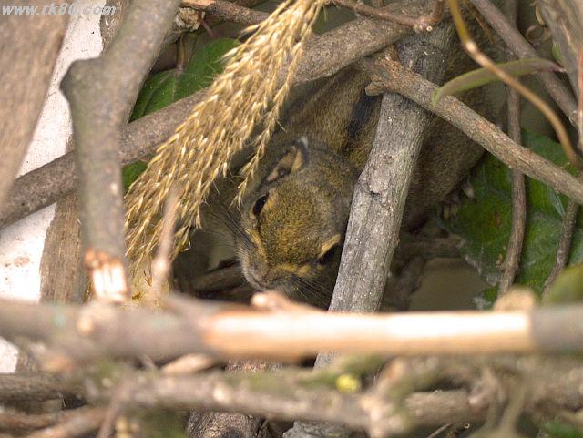 ファイル 859-2.jpg