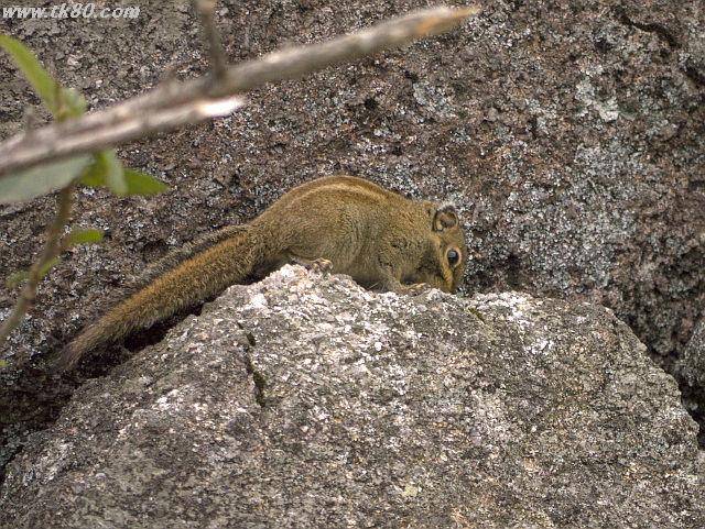 ファイル 859-3.jpg