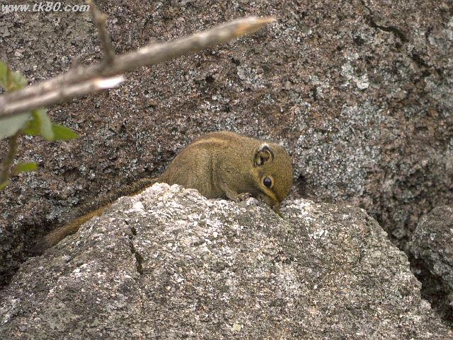 ファイル 859-4.jpg