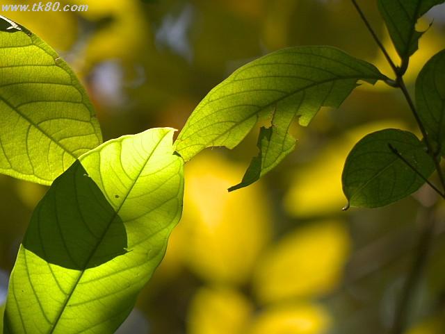 ãã¡ã€ã« 883-5.jpg