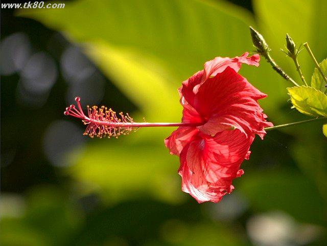 ãã¡ã€ã« 884-1.jpg