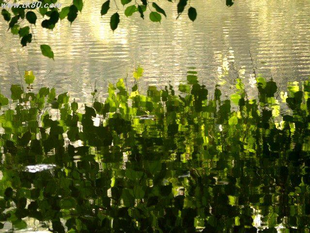 ãã¡ã€ã« 884-3.jpg