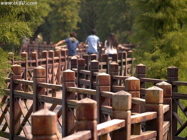 ãã¡ã€ã« 884-4.jpg