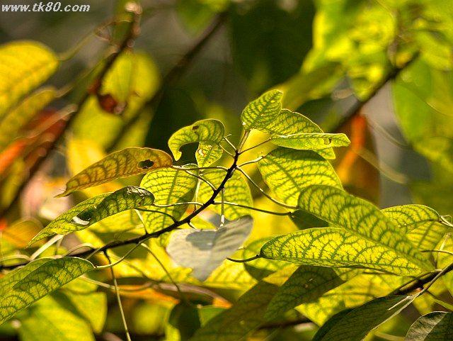 ãã¡ã€ã« 884-5.jpg