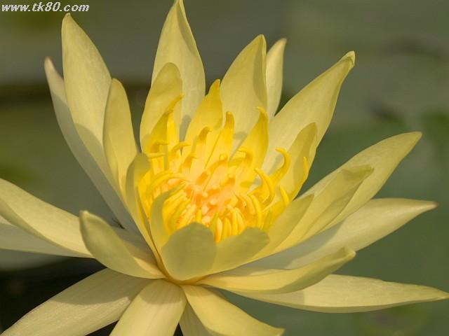 ãã¡ã€ã« 885-1.jpg