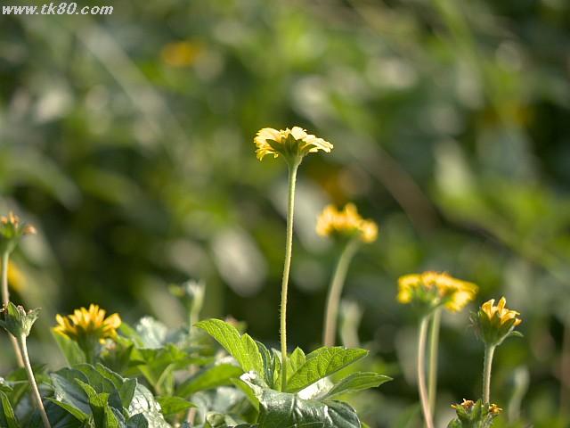 ãã¡ã€ã« 885-3.jpg