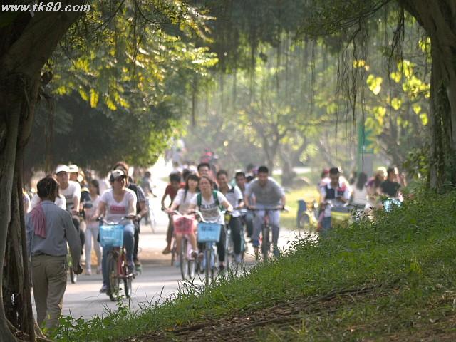 ãã¡ã€ã« 885-4.jpg