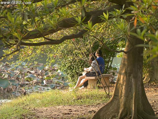 ãã¡ã€ã« 885-5.jpg