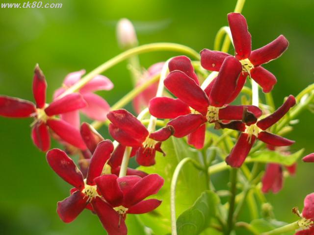 ãã¡ã€ã« 888-1.jpg